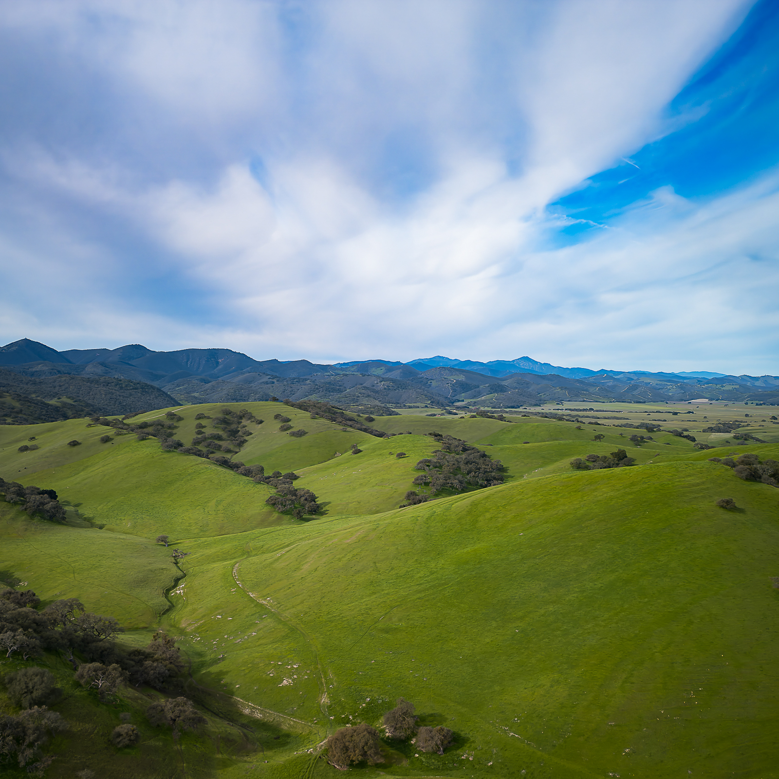 Marin coastline cliffs and ocean from drone perspective